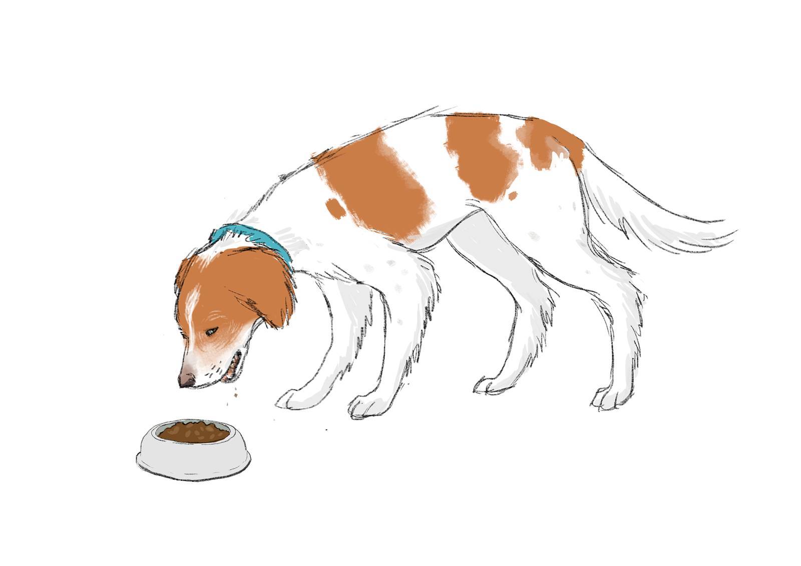 Mantén la rutina de comidas