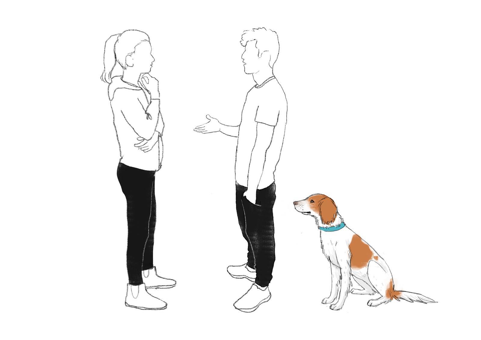 Consulta profesional