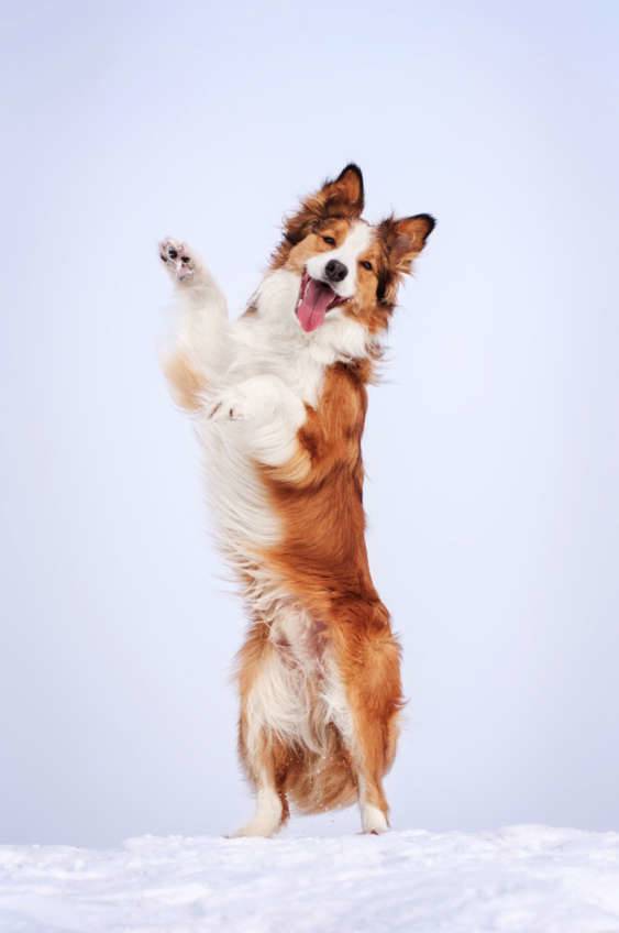 El arte de no enfadarse