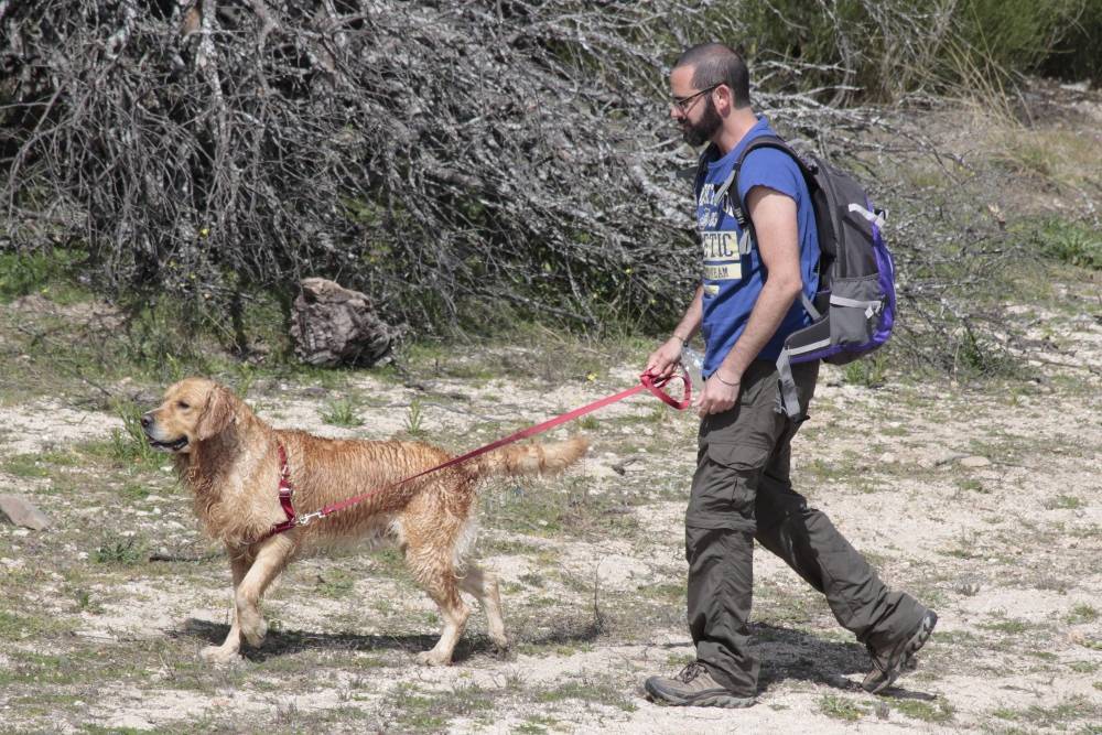 Toño y Maison - Salida de socialización canina