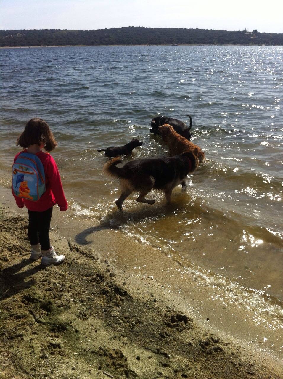 Disfrutando niños y peludos