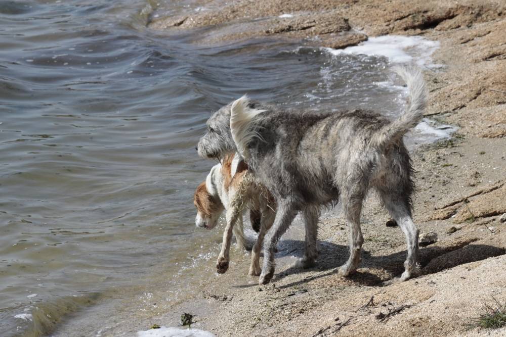 Neska y Noa a punto de lanzarse al agua