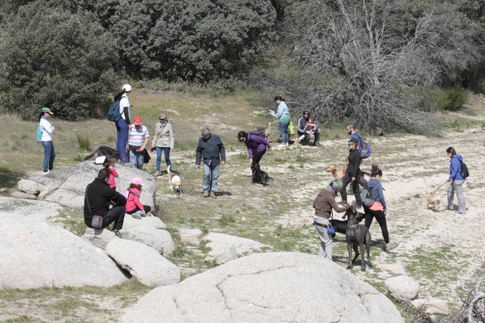 Tiempo para unos juegos