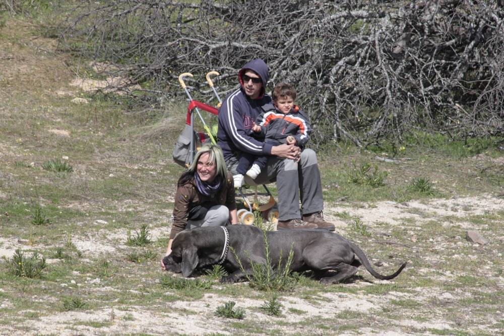 Perretes, adultos y niños, ¡todos bienvenidos!
