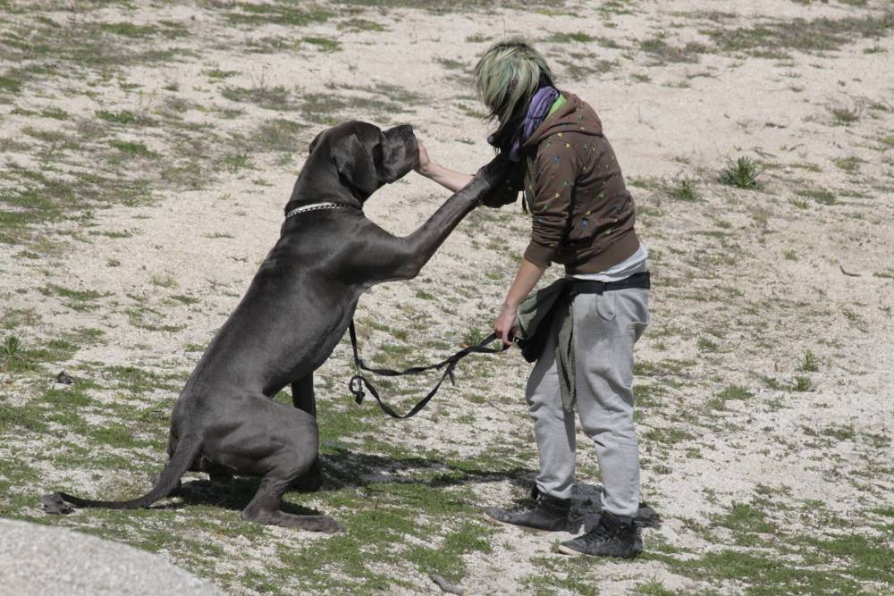 Kringer y Sandra llegando a un acuerdo...