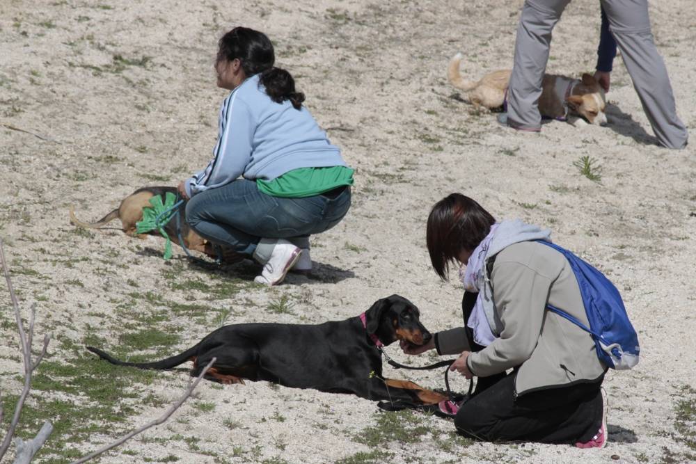 Tiempo para unos juegos