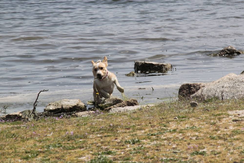 Alice después de un chapuzón