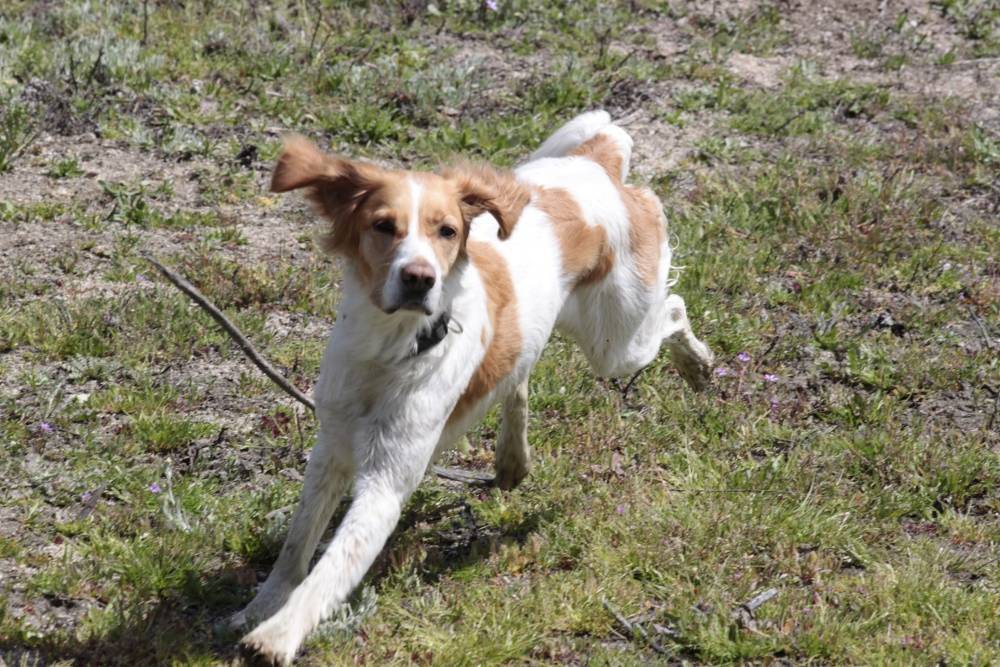 Neska como más se divierte... ¡corriendo!