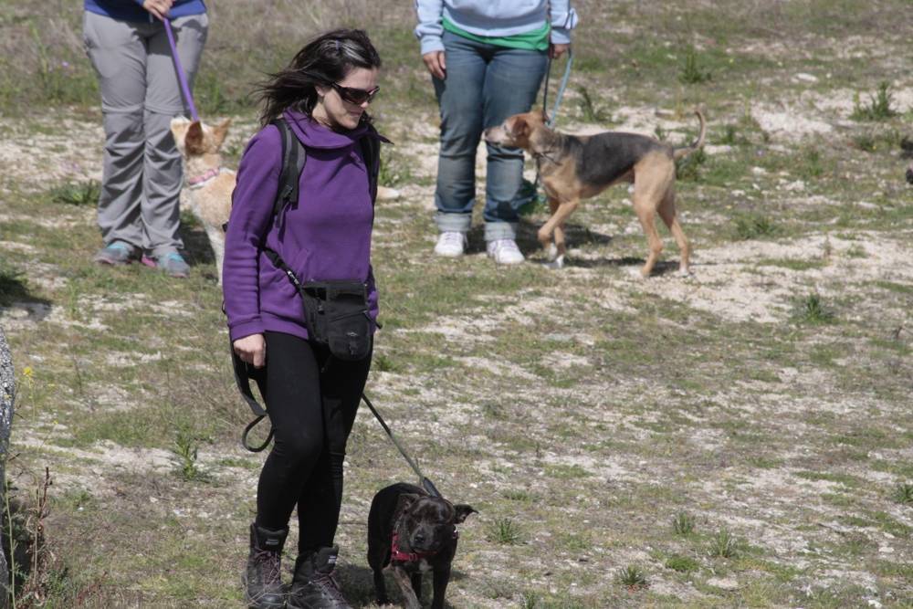 María y Ari - ejercicios de adiestramiento - Salida de socialización canina