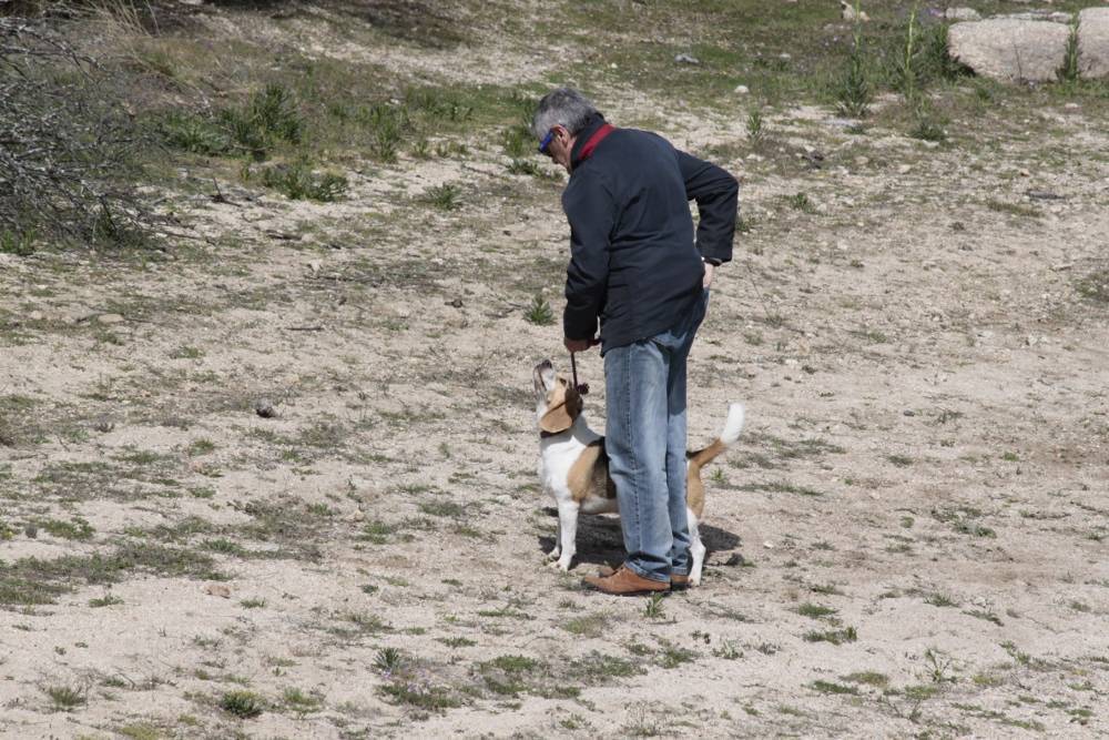 Tiempo para unos juegos