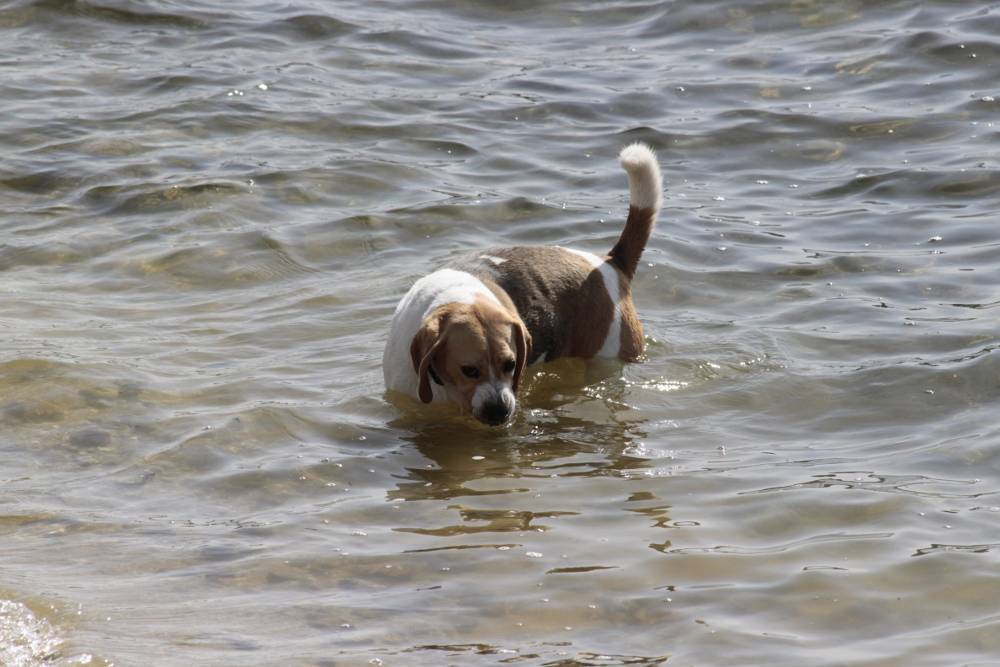Agua por aquí, agua por allá