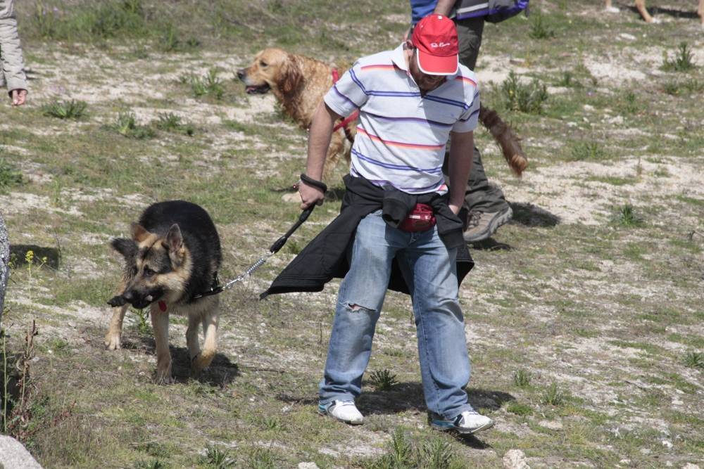 Gus y Carlos - Salida de socialización canina