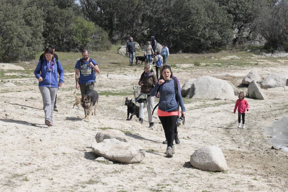 Parte del grupo durante el paseo