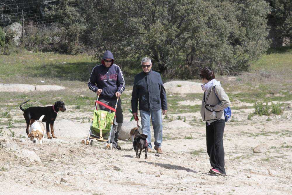 Perretes, adultos y niños, ¡todos bienvenidos!