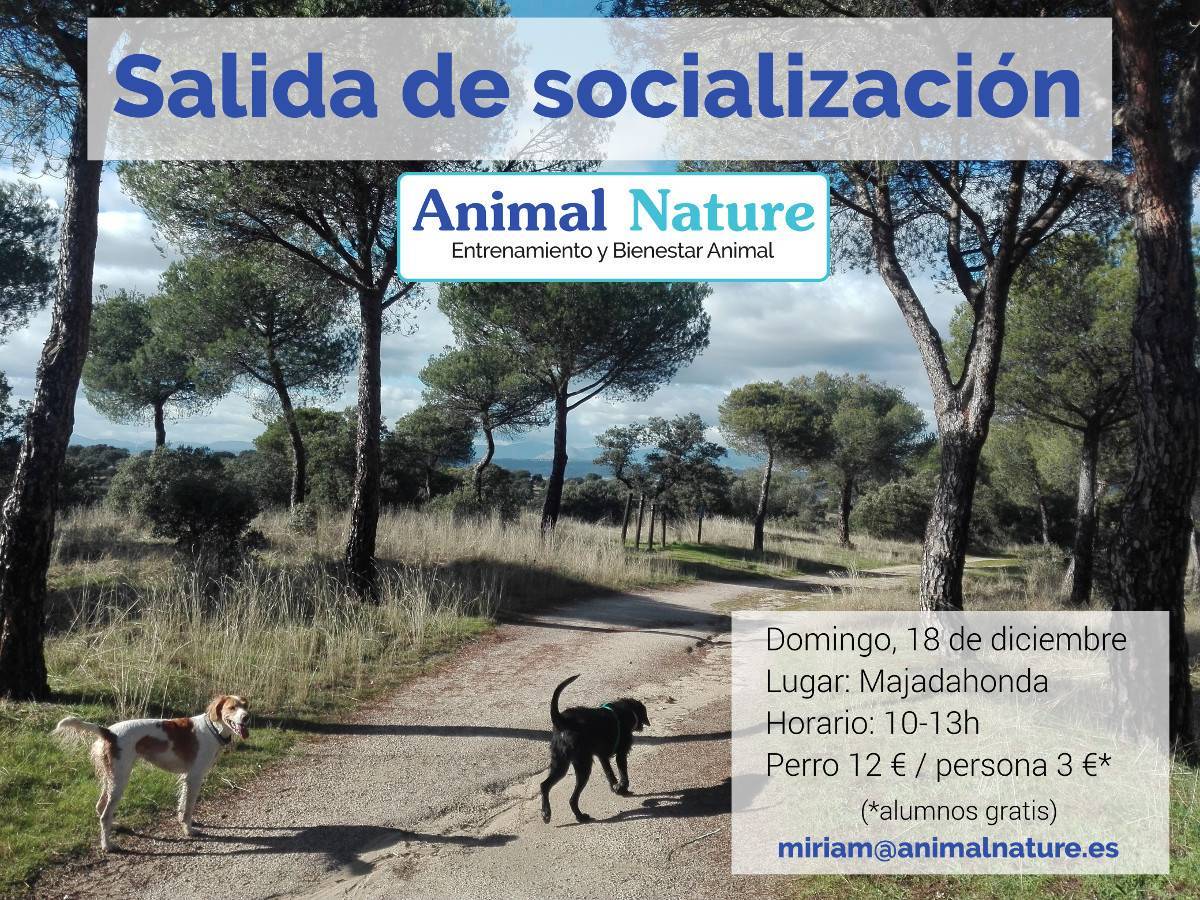 Salida de socialización - diciembre 2016