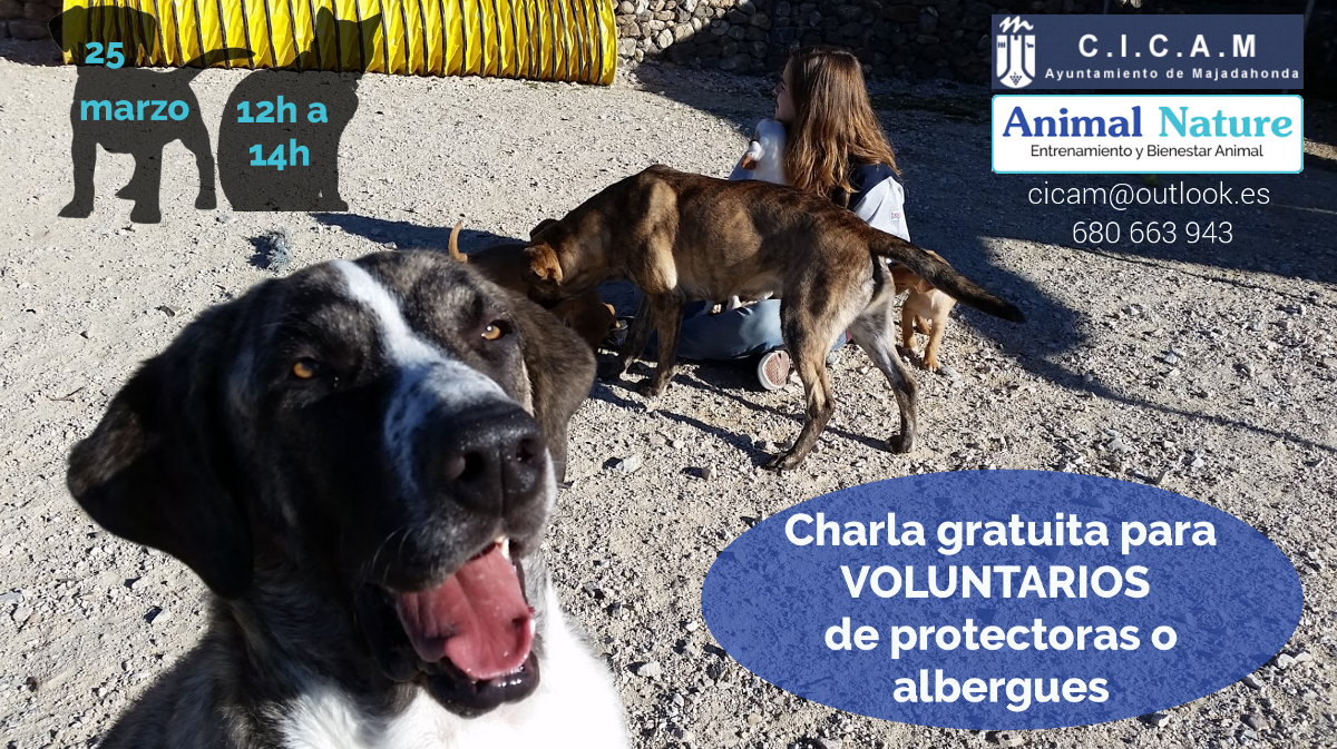 Charla gratuita en CICAM Majadahonda para voluntarios