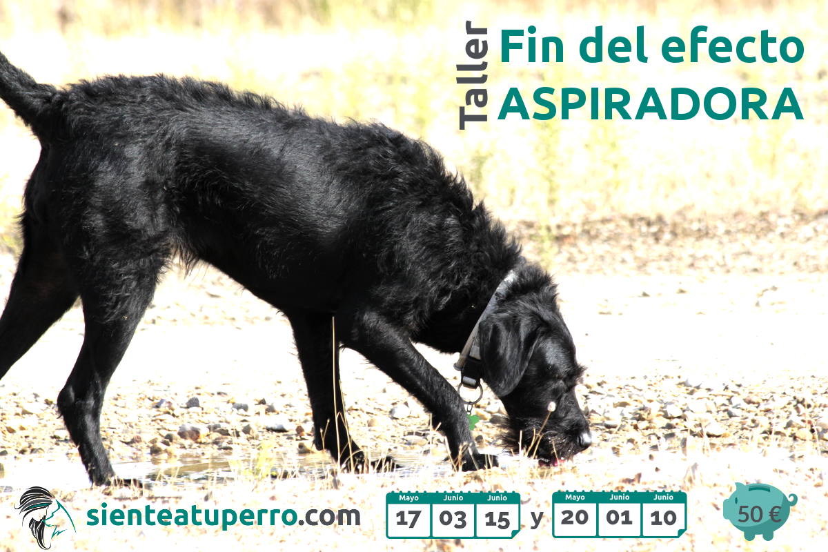 TALLER: Fin del efecto aspiradora