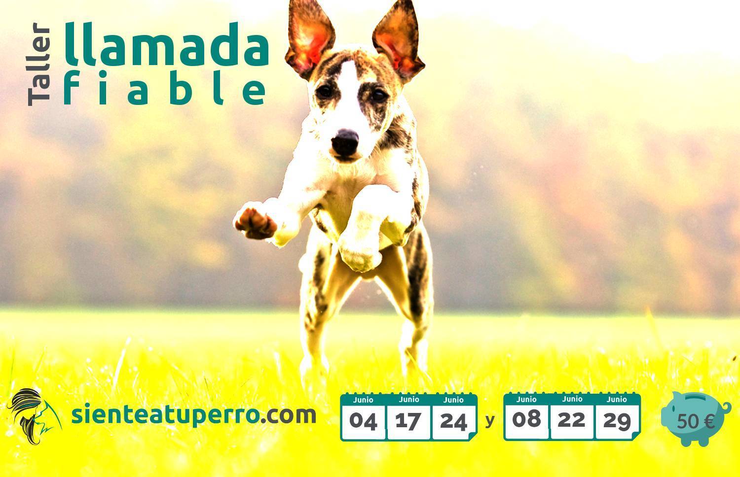 La llamada - taller Siente a tu perro