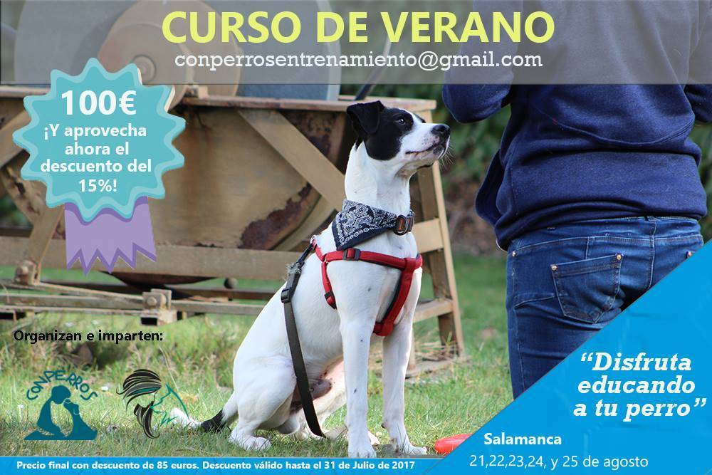 Curso de adiestramiento canino agosto Salamanca
