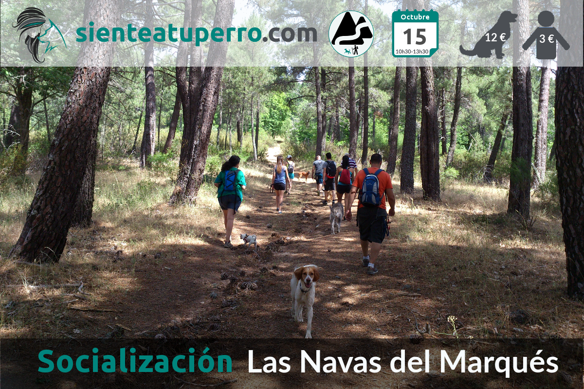 2017-10-15_LasNavasDelMarques