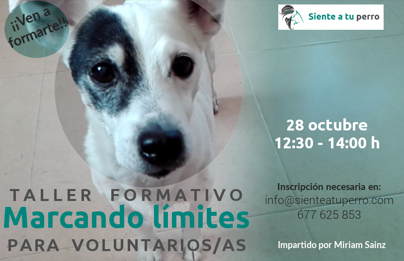 CICAM-charla-28-oct-2017