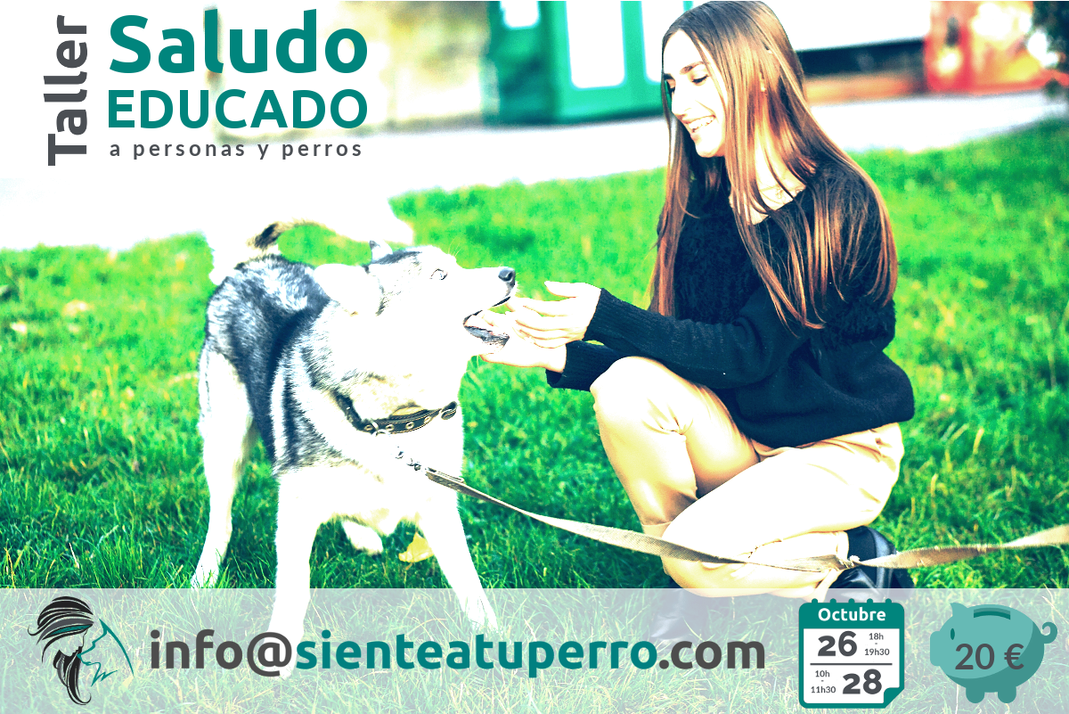 Saludo educado a personas y perros - taller de adiestramiento canino