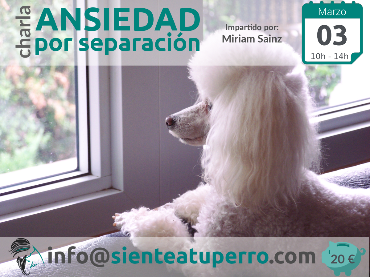 Ansiedad por separación charla