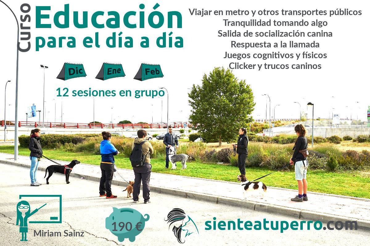 Educación para el día a día