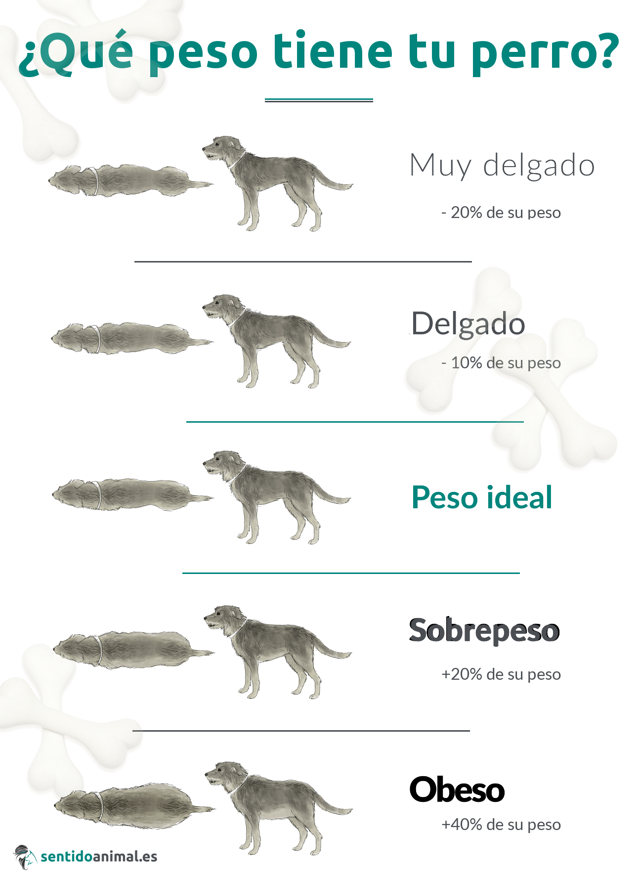 Pesos ideal de los perros