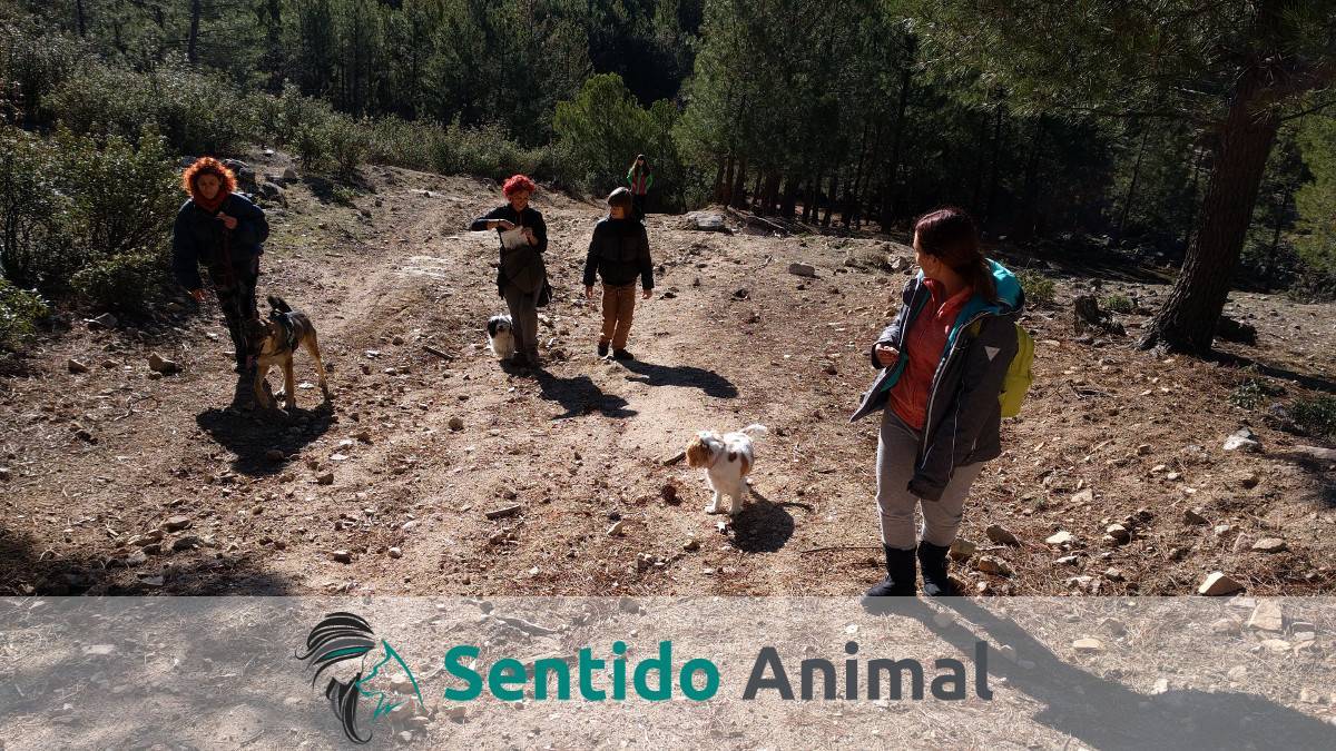 Senderismo con perros - dic17