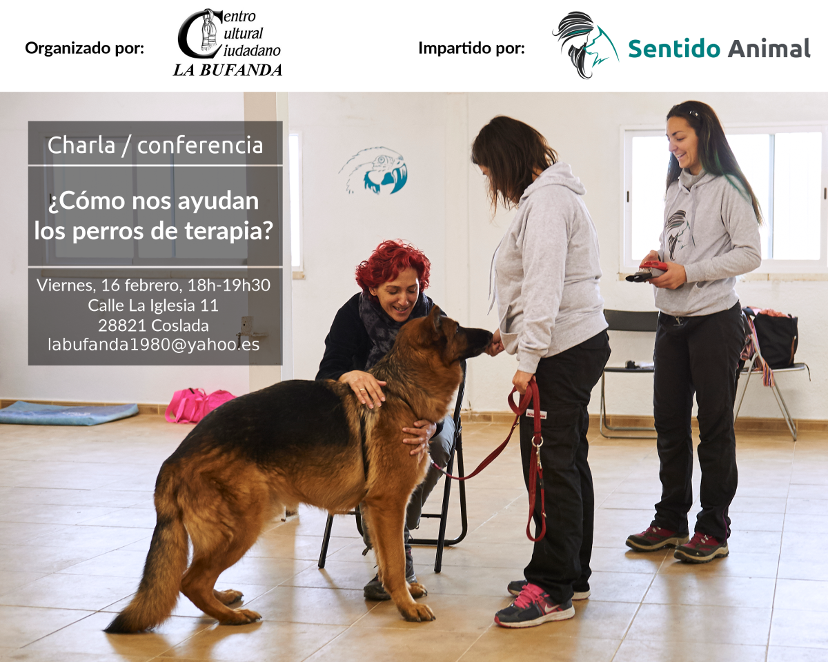 Cómo nos ayudan los perros de terapia
