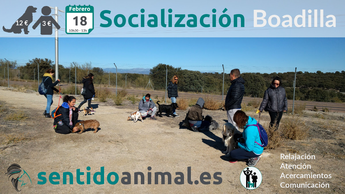 salida de socializacion febrero2018