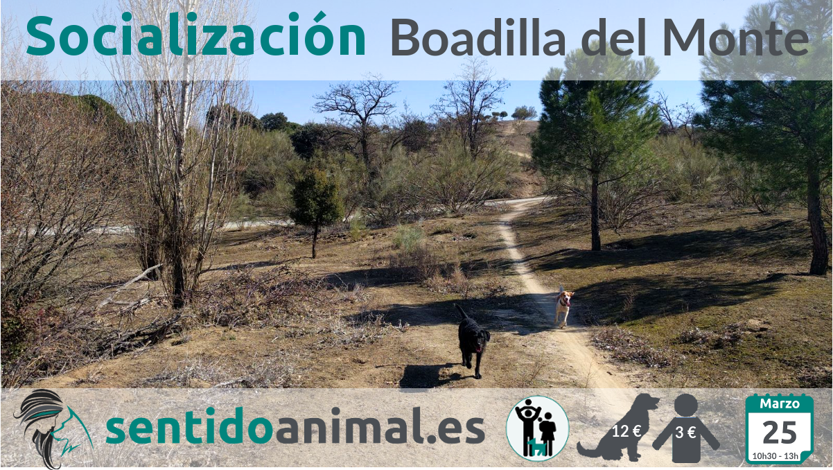 2018-03-25_Boadilla del Monte