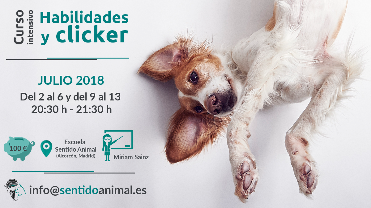 Habilidades y clicker_jul18curso