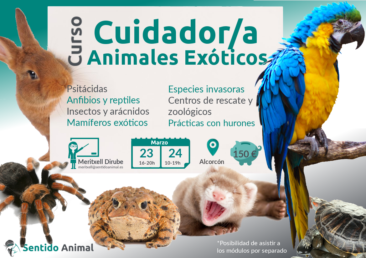 Curso de animales Exoticos