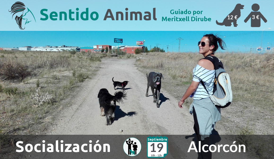 Alcorcón Ventorro del Cano - socialización y paseo