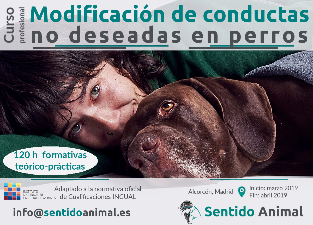 Curso-profesional modificación de conductas no deseadas a perros