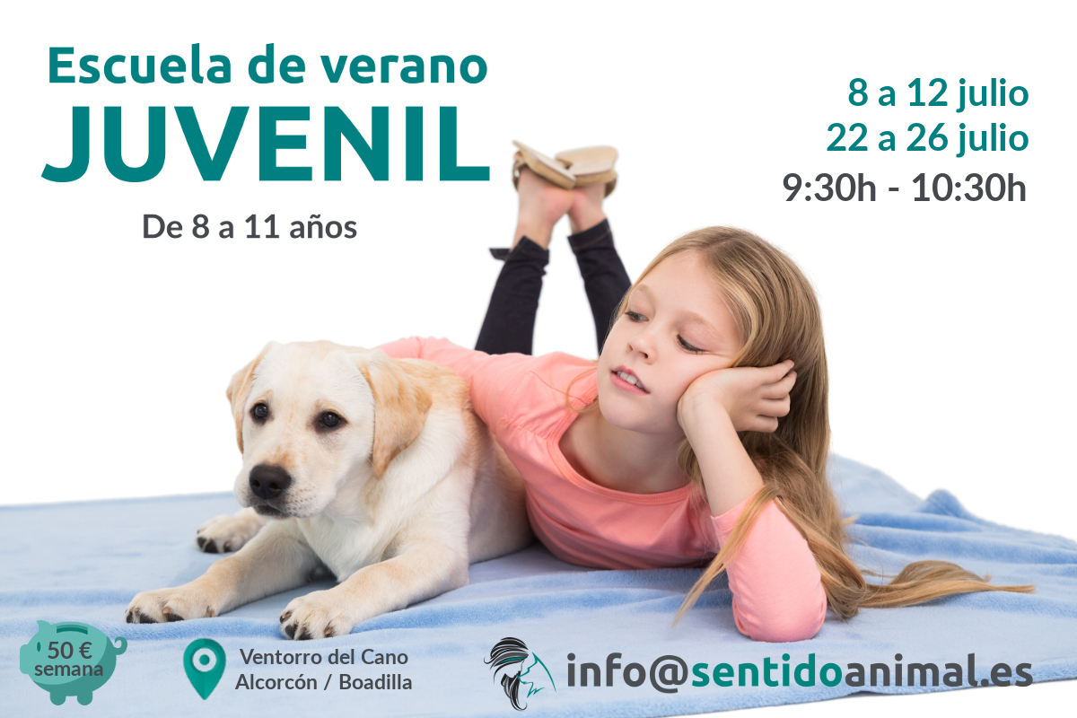 Escuela de verano juvenil