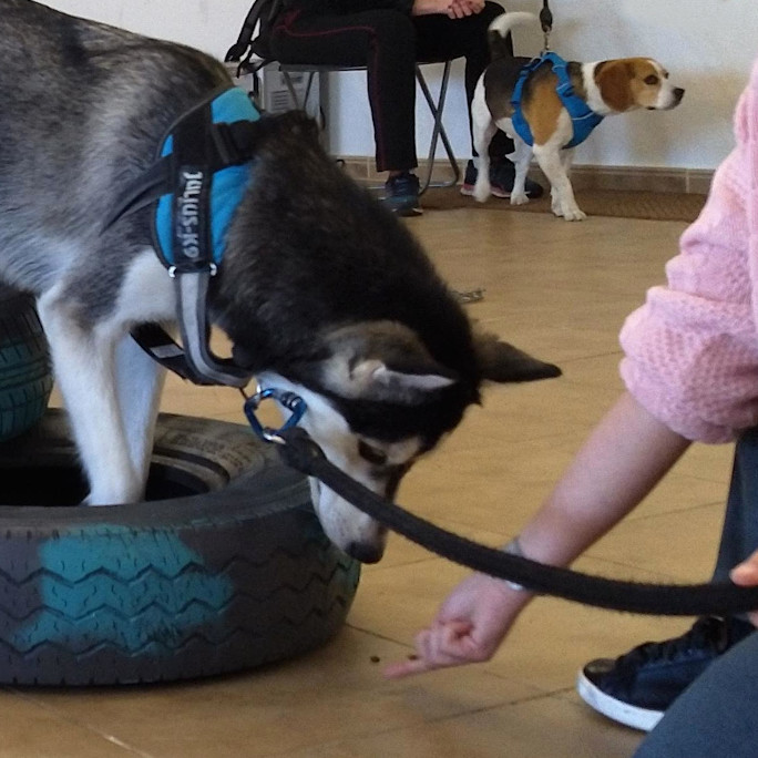 Clases-grupales_cabecera_movil