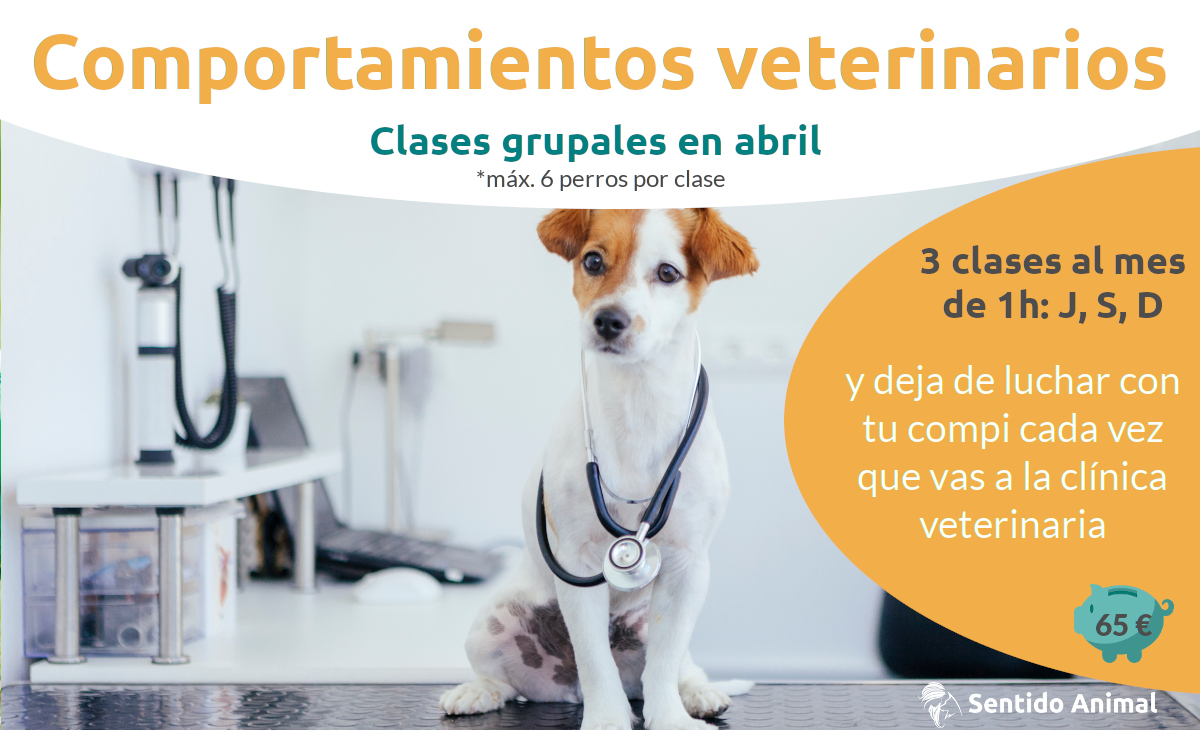 comportamientos veterinarios