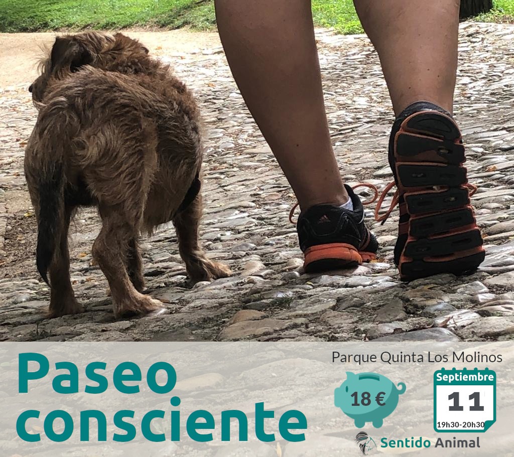 Paseo_consciente con perros - septiembre 2021