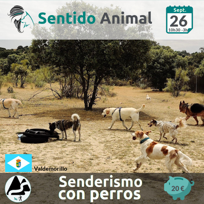 Senderismo con perros en Valdemorillo - Educación Canina