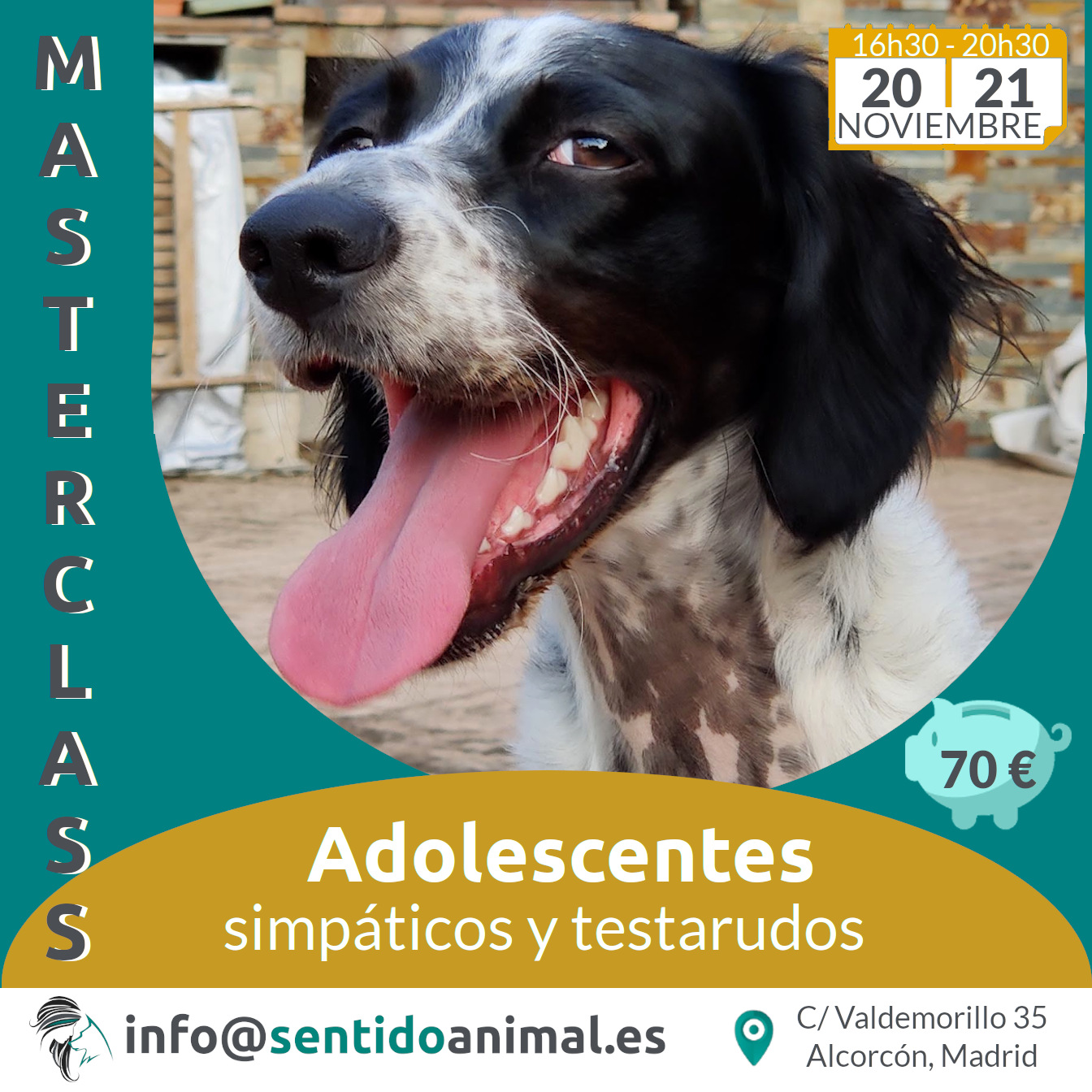 Masterclass Perros Adolescentes