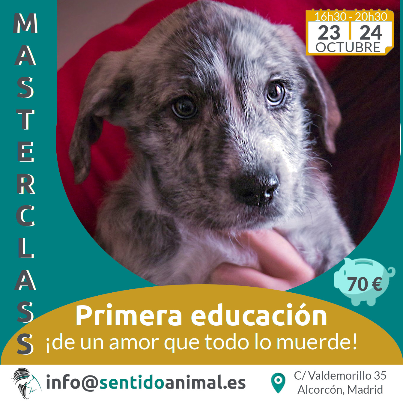 Masterclass_Primera educación de cachorros