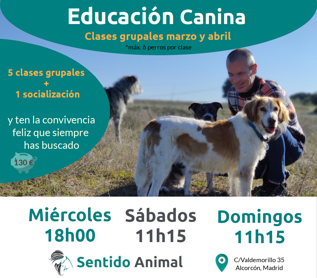 Un educador canino con tres perros, disfrutando del campo
