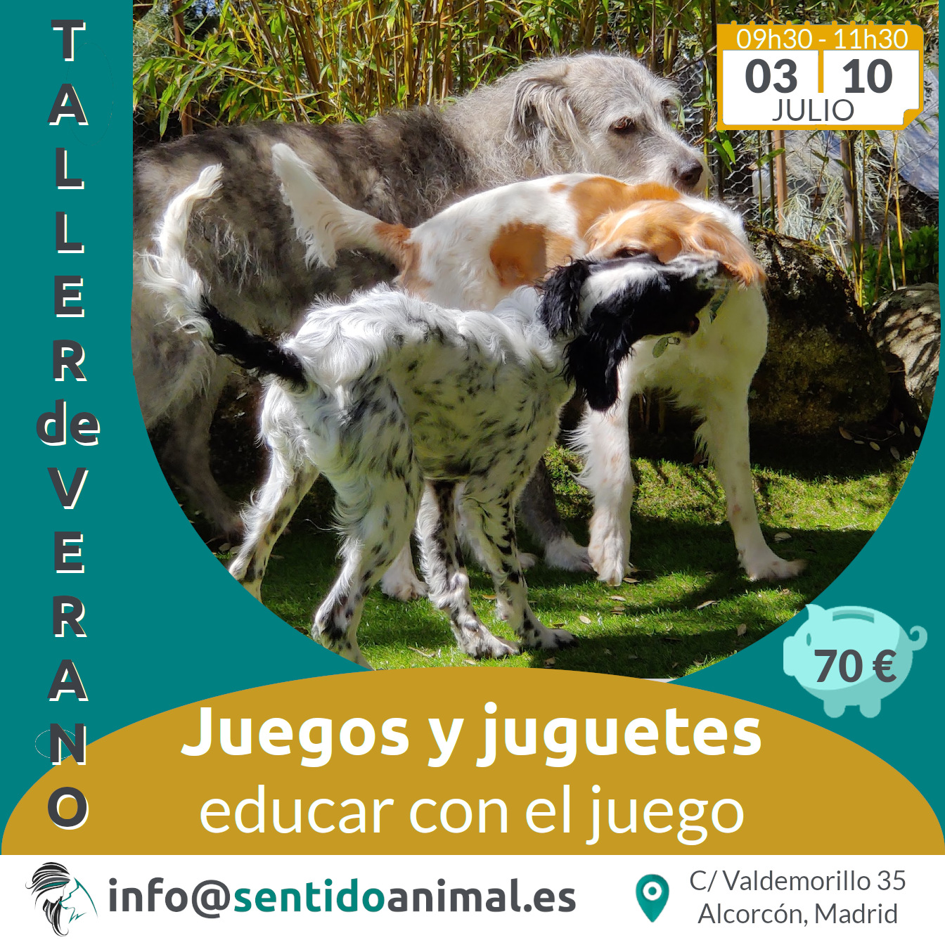 Tres perras jugando en el jardín