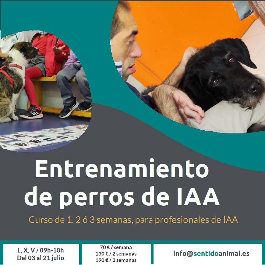 Entrenamiento para perros de terapia