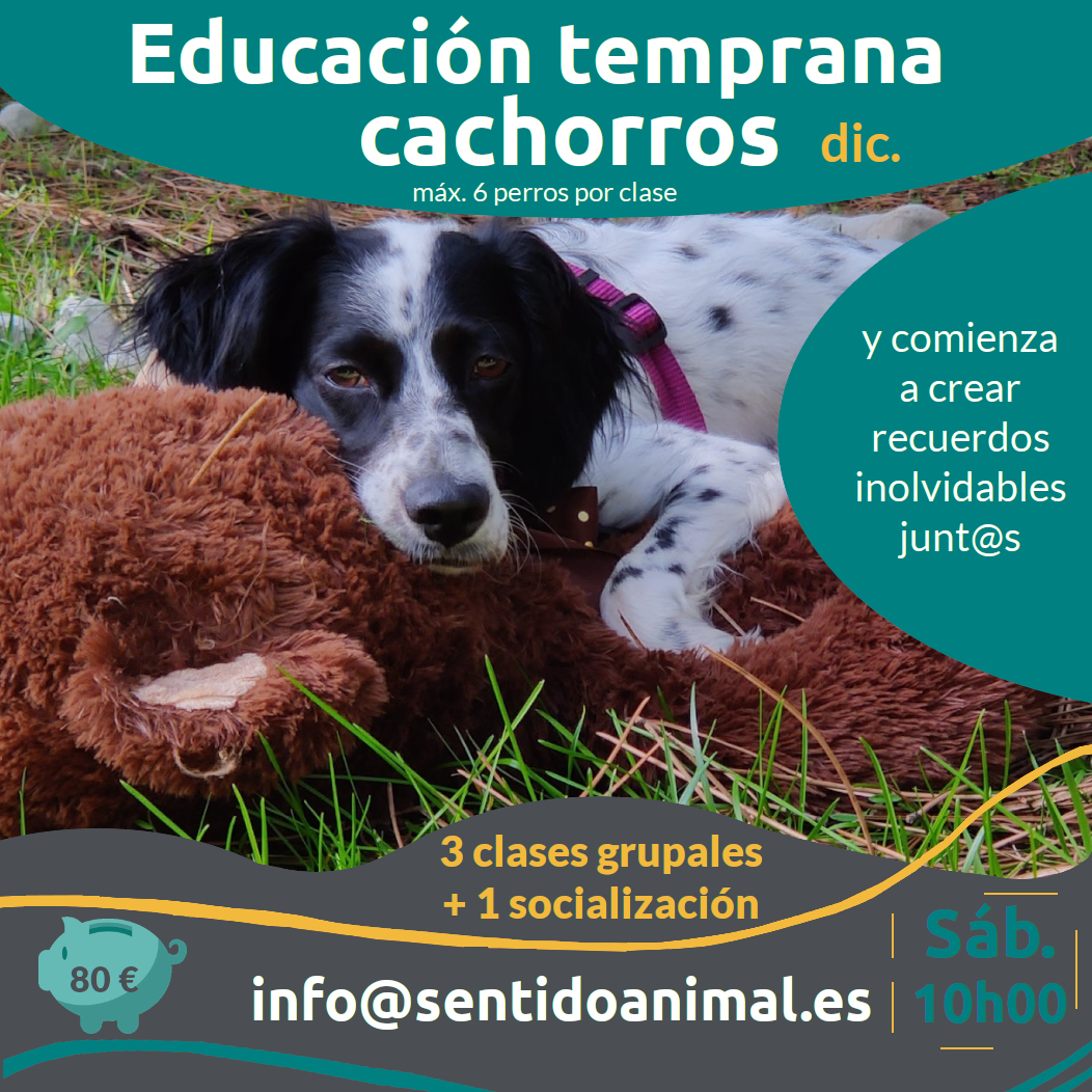 Grupales para cachorros - diciembre 2023